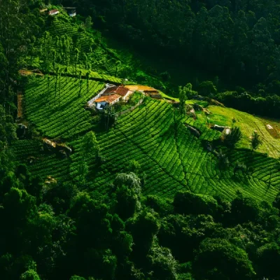 Ooty