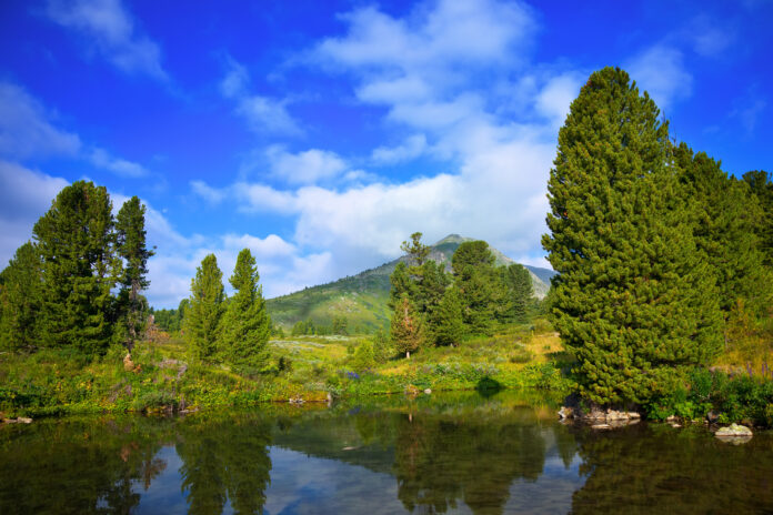 mountains lake Ooty and Kodaikanal Tour Packages